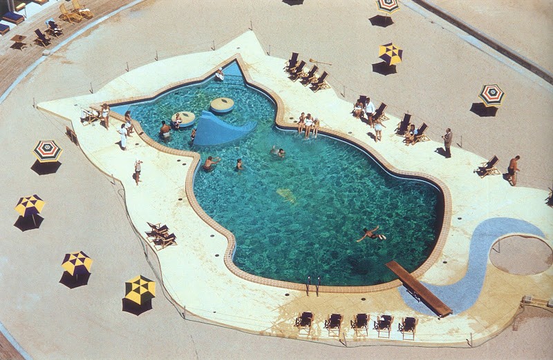 Uma piscina ou um gato? 