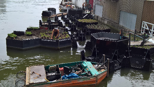 Os plásticos utilizados foram recolhidos do rio