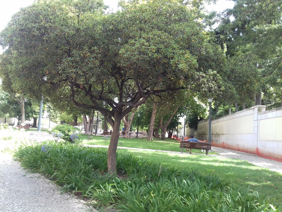 Ser vizinho do primeiro-ministro? Reabilitação dá nova vida ao bairro de São Bento