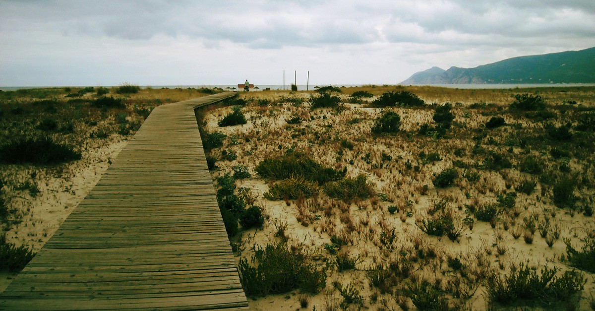 Strand i Troia / Wikipedia