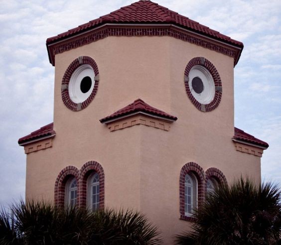 Um exemplar com olhos...