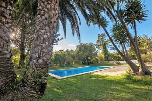 La piscina está rodeada de palmeras