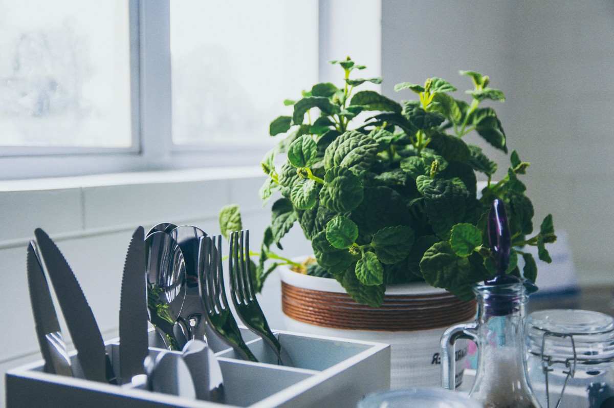 Queres melhorar ou renovar a decoração lá de casa? Toma nota destas 5 dicas 