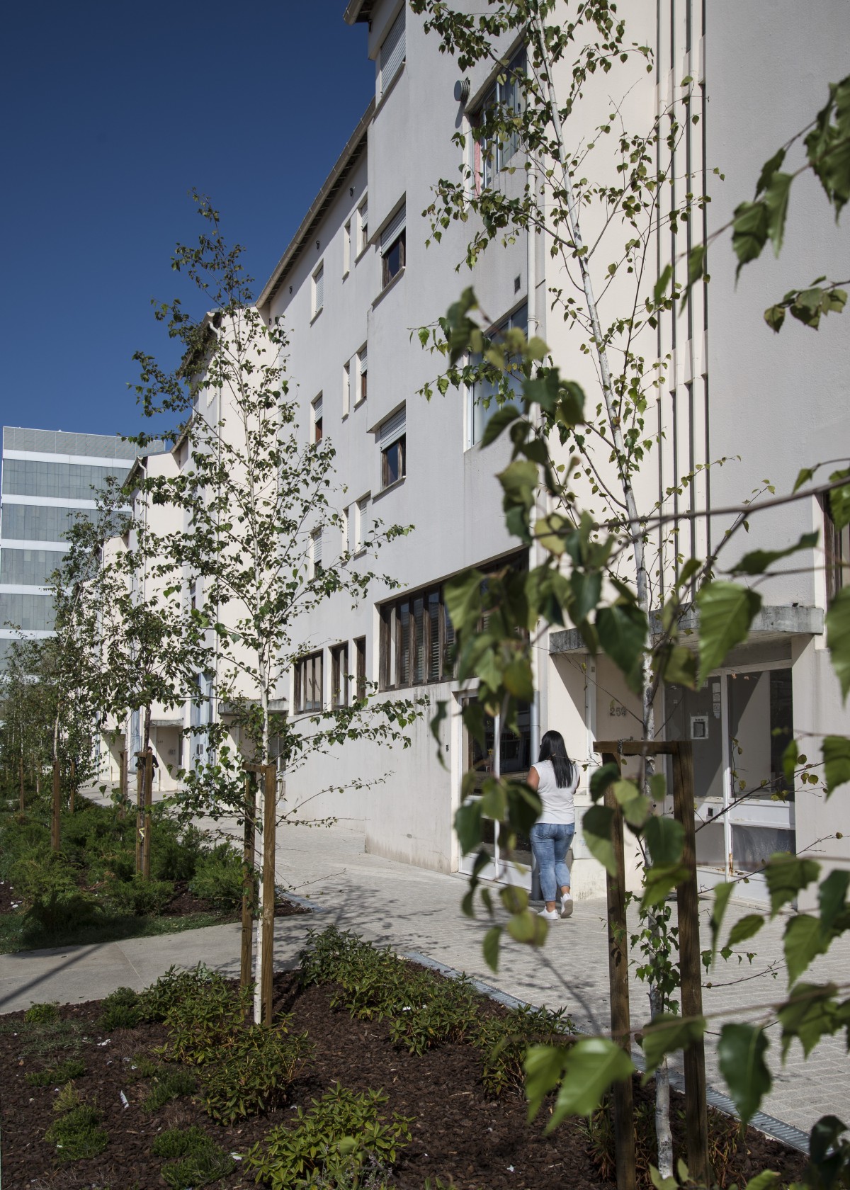 Bairro do Sobreiro na Maia vai ganhar nova vida: mais casas, espaços públicos, ruas e um centro comunitário