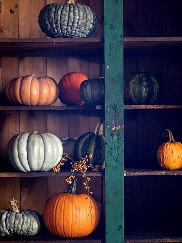 Abóboras para os clássicos halloween_6