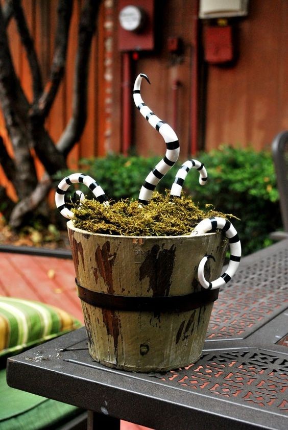 Plantas com serpentes halloween_8