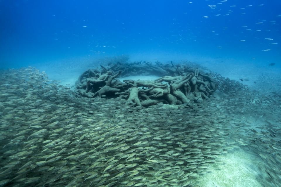 O museu quer fomentar o respeito pelos oceanos