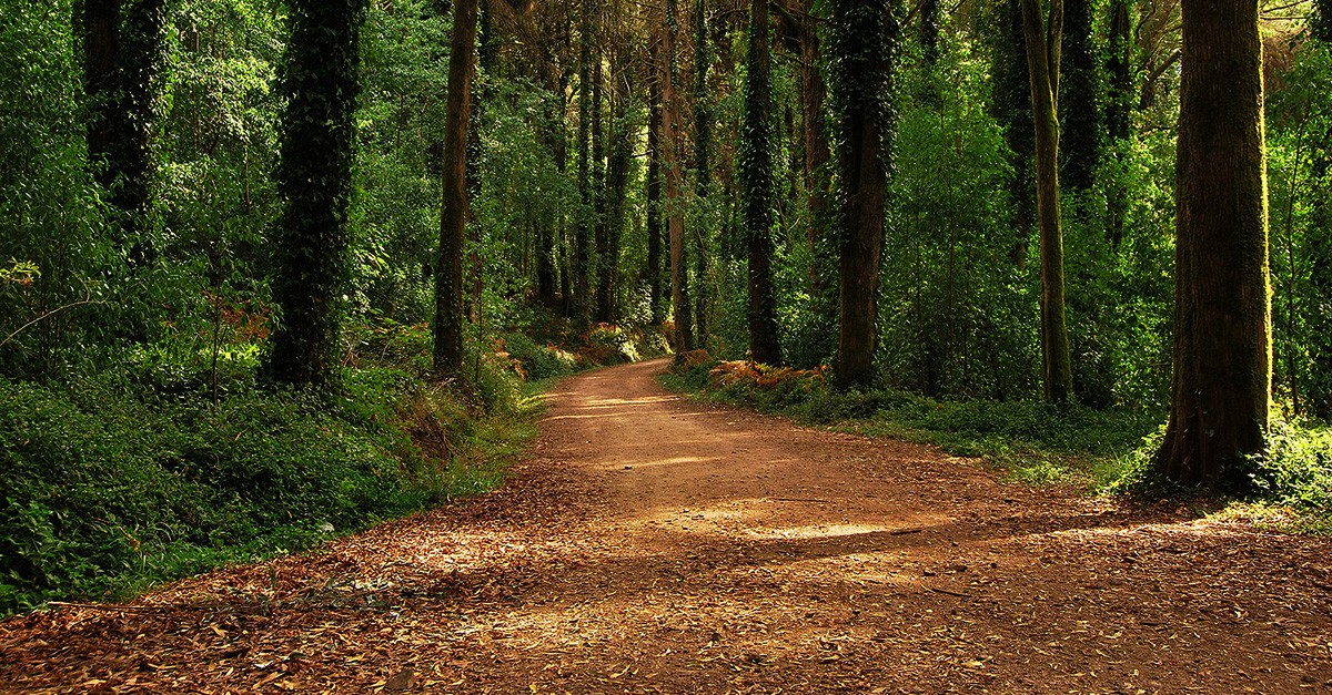 Sintra-Cascais Natural Park / Wikimedia