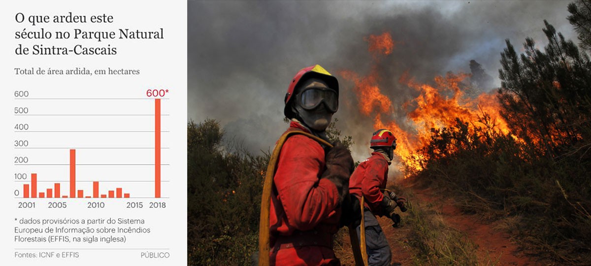 Incêndio na Serra de Sintra consumiu 600 hectares - mais do que nos últimos 10 anos