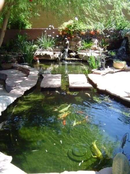 Um oásis no meio do jardim Um oásis no meio do jardim