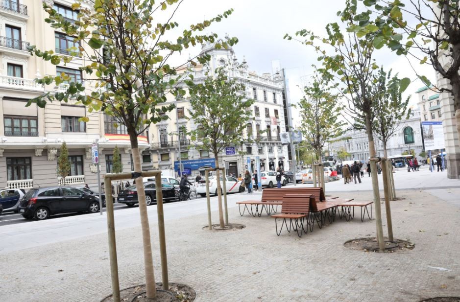 Há jardins com arbustos de diferentes cores