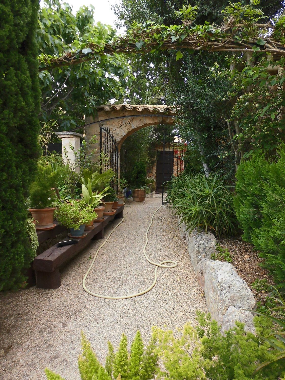 Tem um grande jardim 