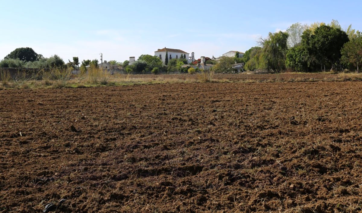 25 hectares de pura natureza e história à venda por 1.250.000 euros no Alentejo