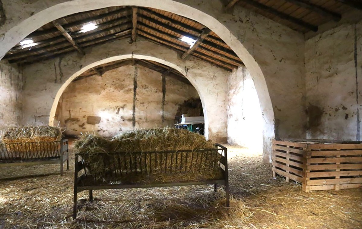 25 hectares de pura natureza e história à venda por 1.250.000 euros no Alentejo