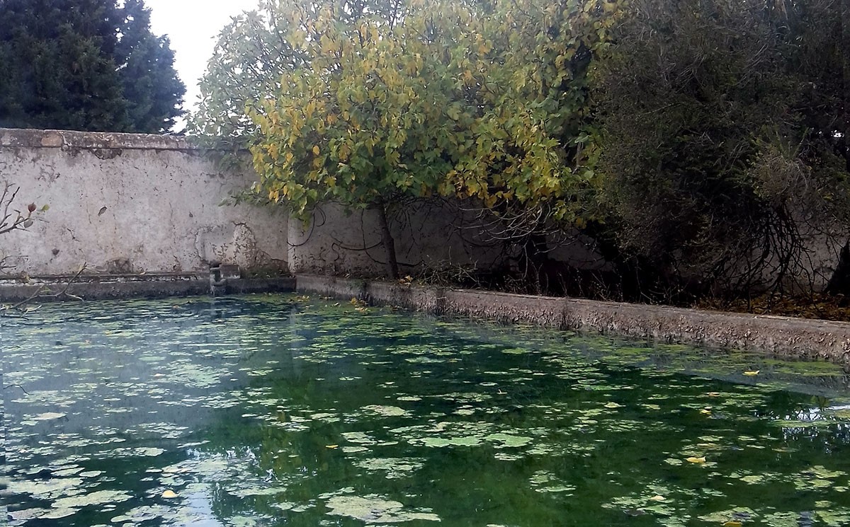 25 hectares de pura natureza e história à venda por 1.250.000 euros no Alentejo