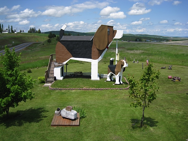 Hotel Beagle Foi construído à mão