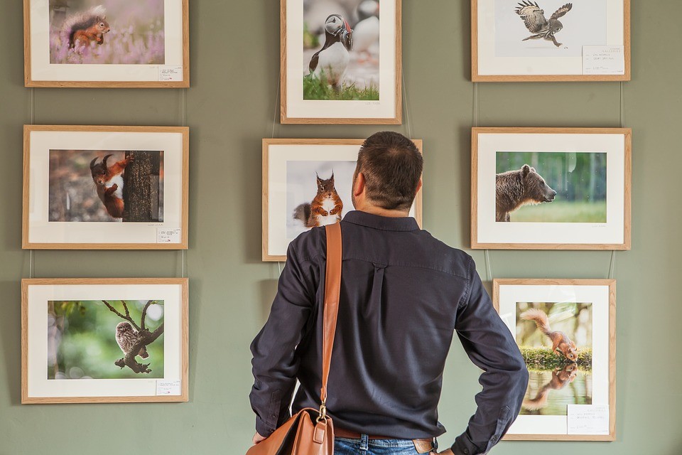 Includeți aceste expoziții pe lista dvs. de vizitat în 2019 / Pixabay Includeți aceste expoziții pe lista dvs. de vizitat în 2019 / Pixabay