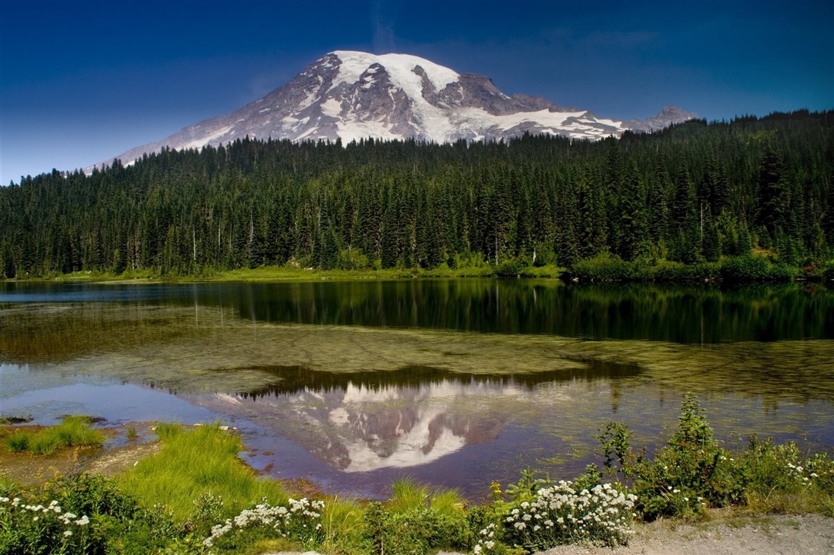 Rainier, Washington