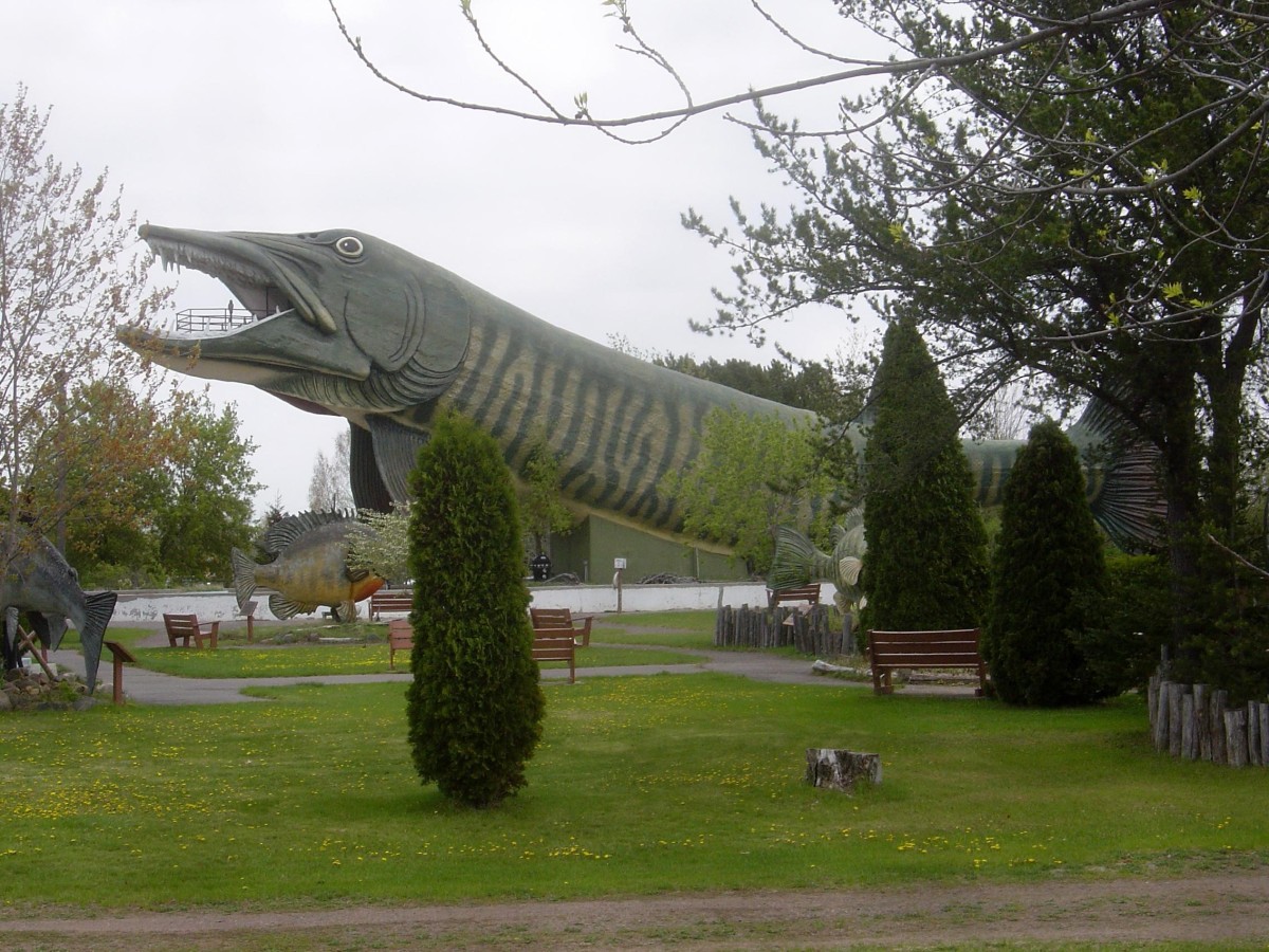 Museu-Peixe Mede 43 metros