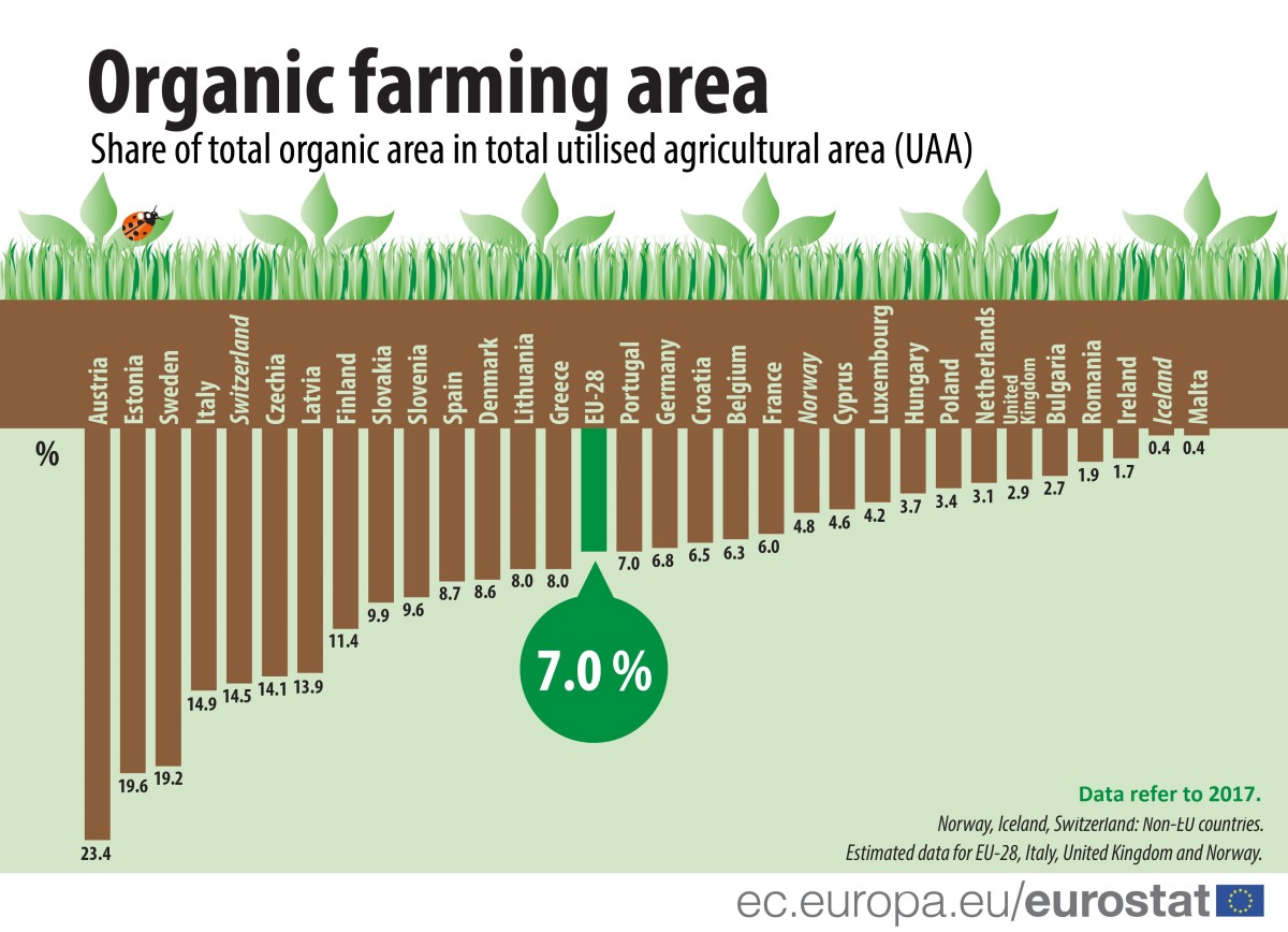 Agricultura biológica ganha adeptos em Portugal e na UE
