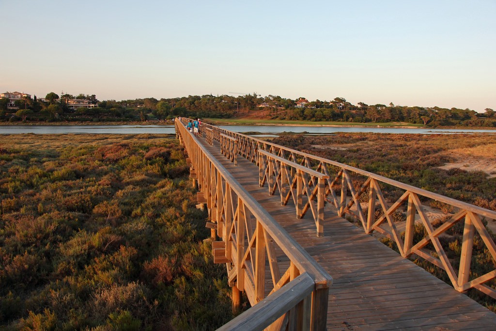 Take a walk along the wooden bridge that takes you to the beach / Flickr