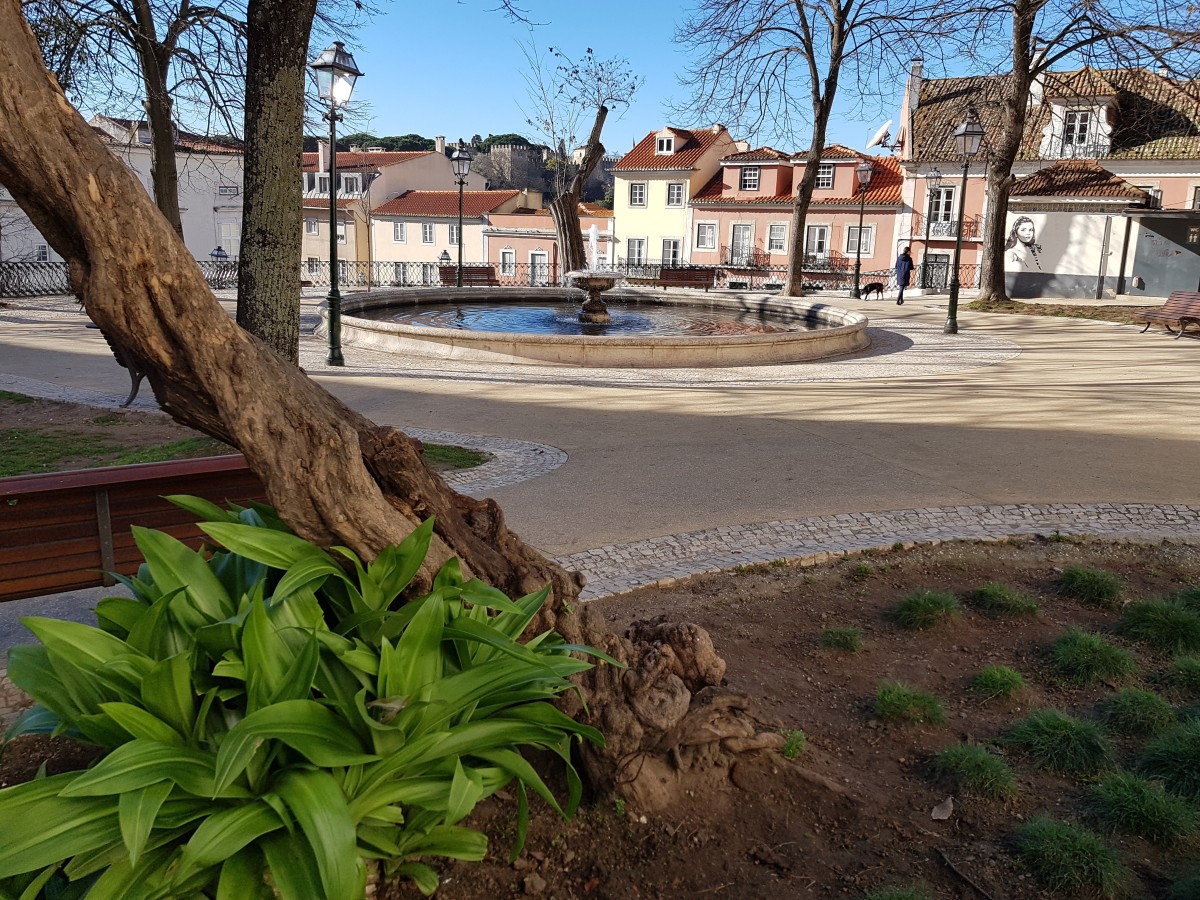 Novo contrato de habitação vitalício entusiasma mediadores imobiliários