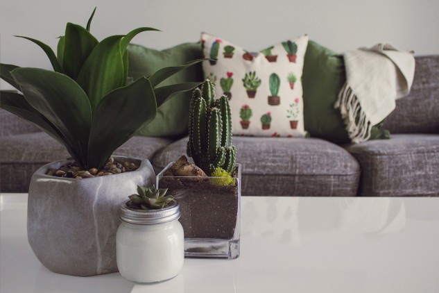 A good way to make a difference / designecologist/Unsplash