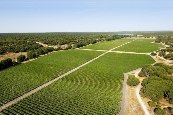 Escritura de venda da Herdade da Comporta assinada em abril 