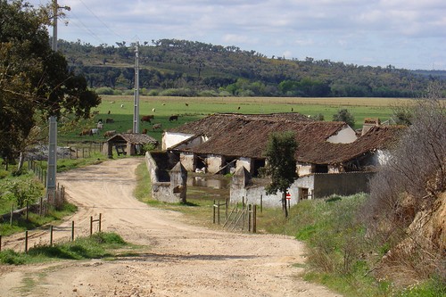 "Madonna compra herdade no Alentejo": A mentira de 1 de abril que se tornou viral