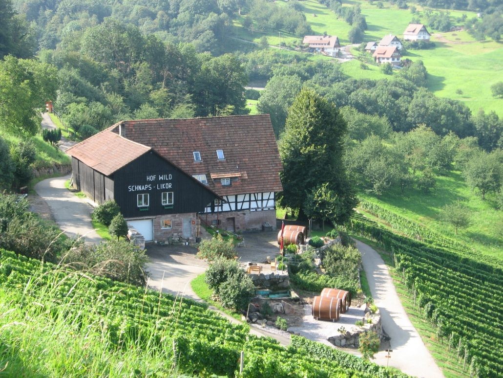 Vista geral da propriedade