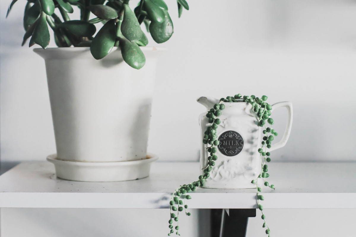 String of pearls