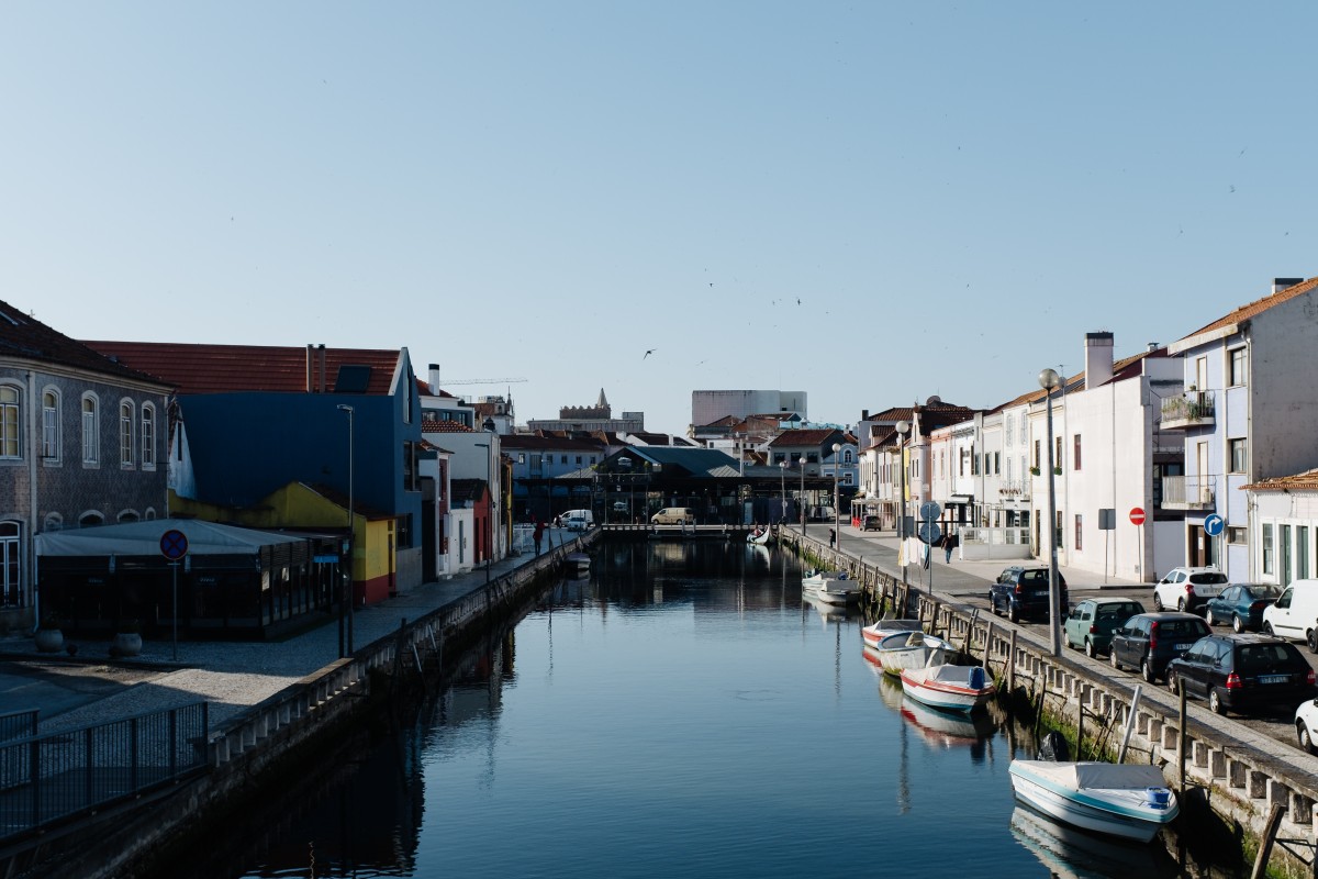 À boleia de um moliceiro, na Veneza portuguesa À boleia de um moliceiro, na Veneza portuguesa