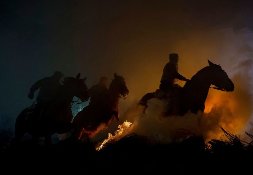 'Horses'
