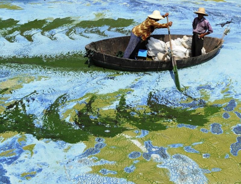 Águas completamente contaminadas