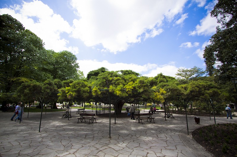 Jardins do Príncipe Real in Misericórdia / Wikimedia commons