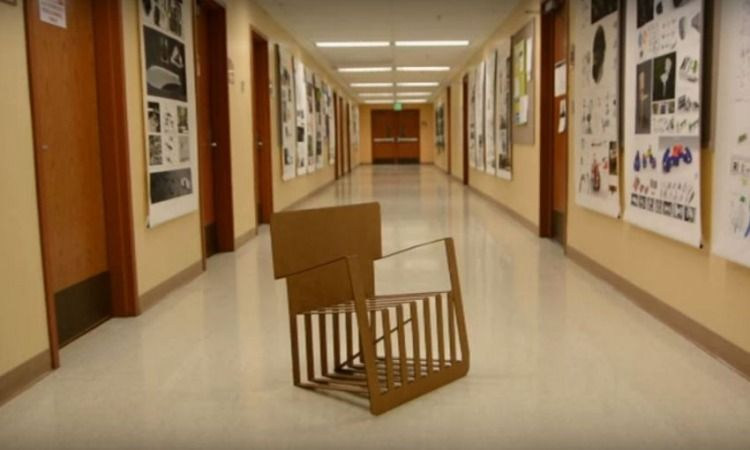 Versatilidade é palavra de ordem