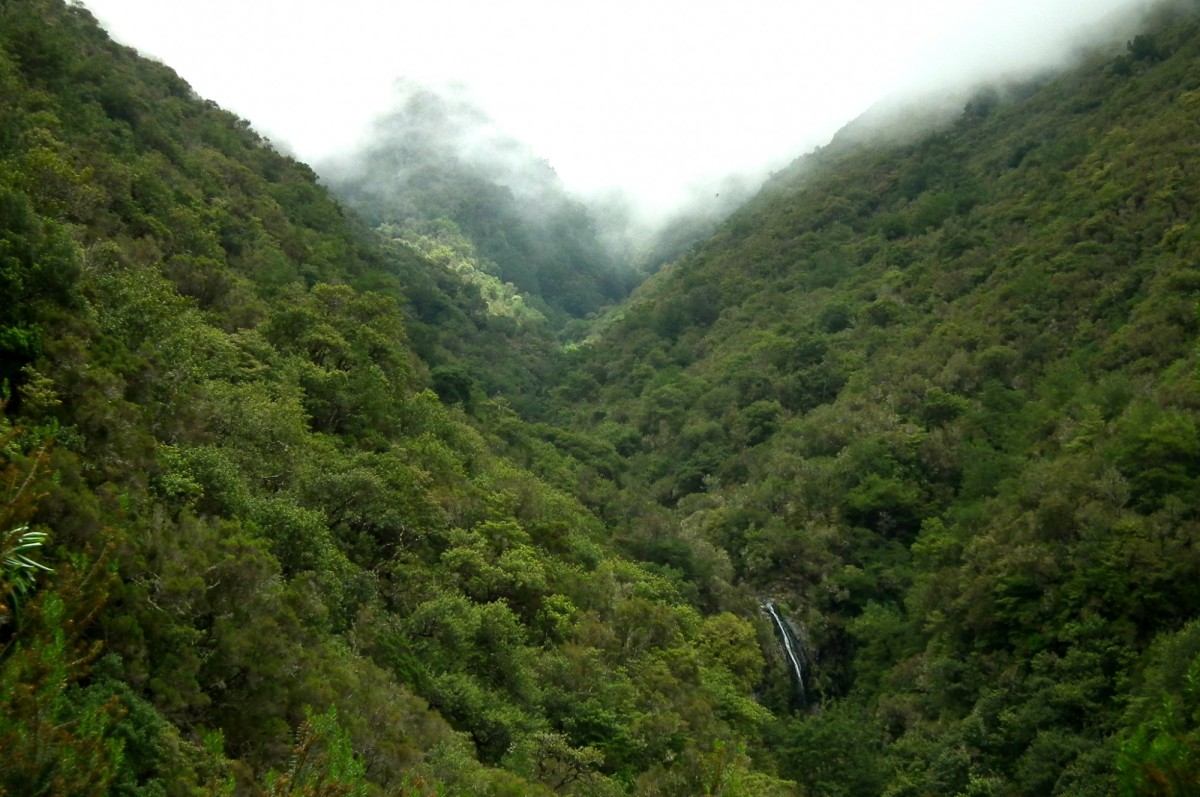 UNESCO-Weltnaturerbe seit 1999 / Wikimedia commons