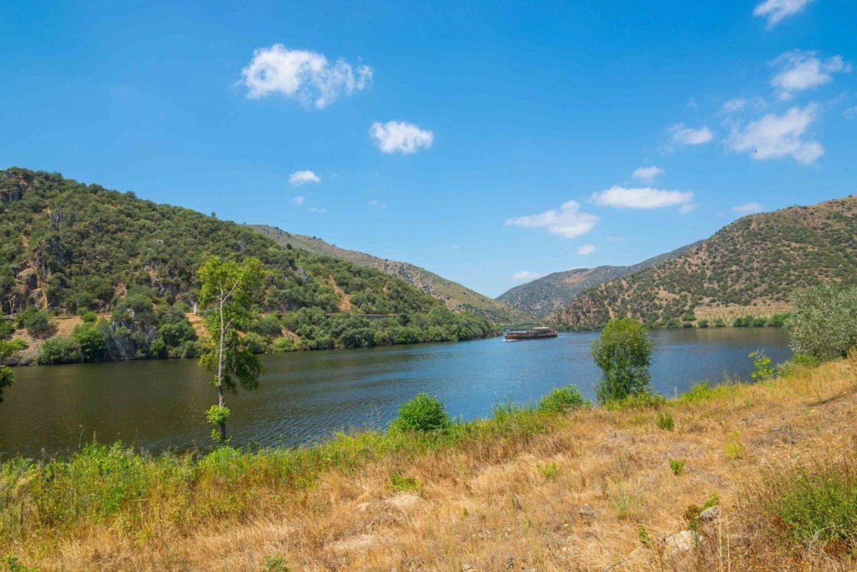 There are lots of quality luxury homes for sale along this river / LUXIMO's Christie's