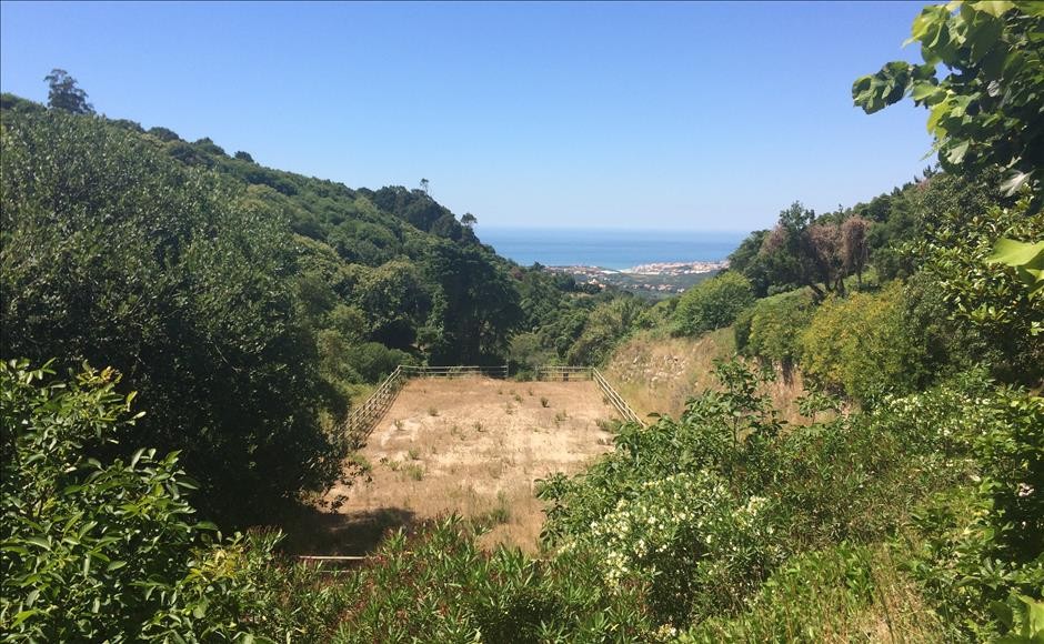 View of the riding school and beach