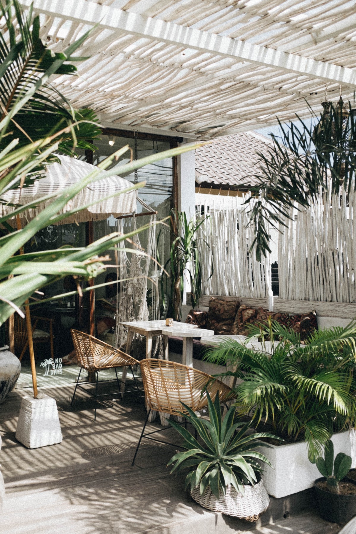 As plantas apropriadas As plantas apropriadas