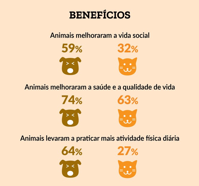 animais_1