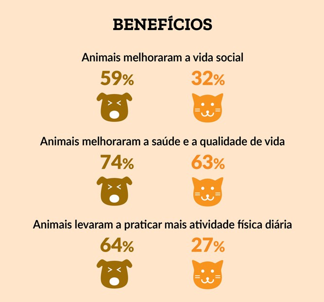 animais_1