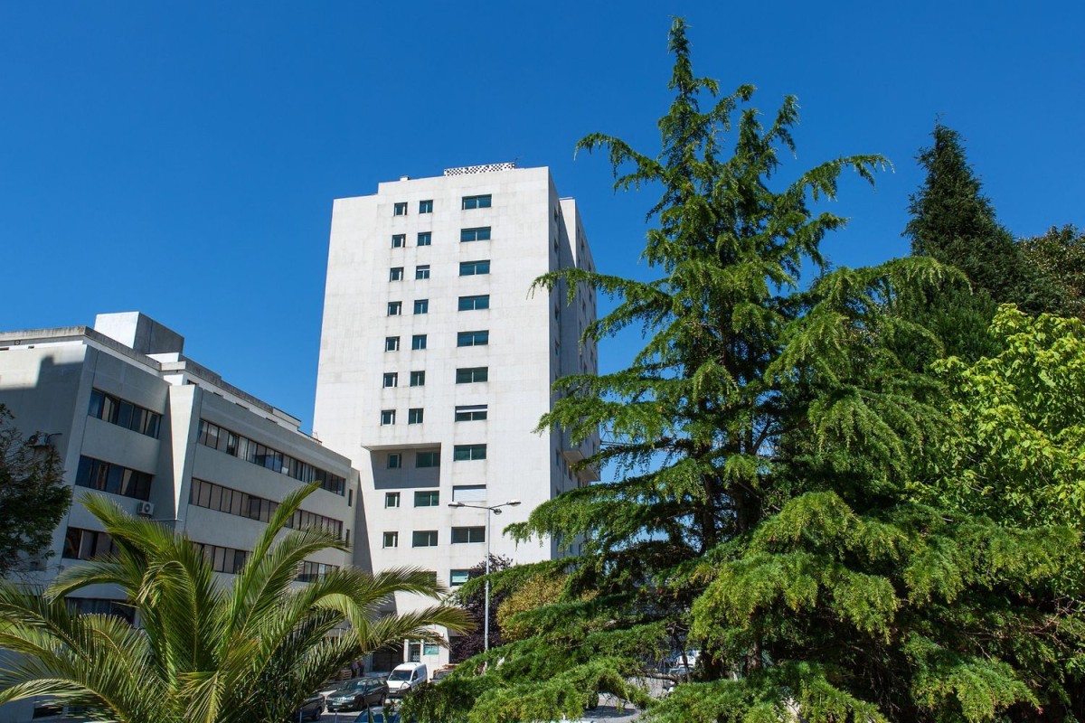 Boavista Residence chega ao mercado com 34 apartamentos novos - penthouse custa 1,2 milhões 