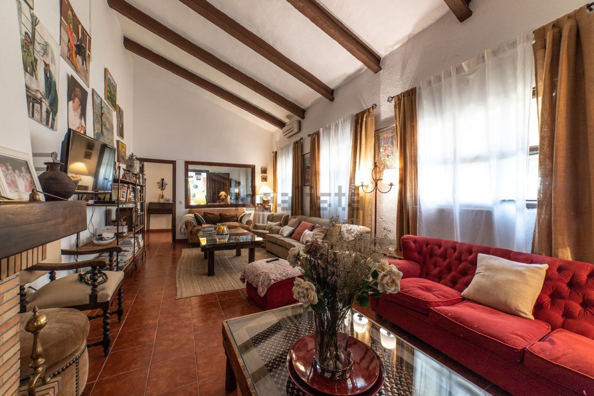 cortijo-moraleja-en-medio-salon2
