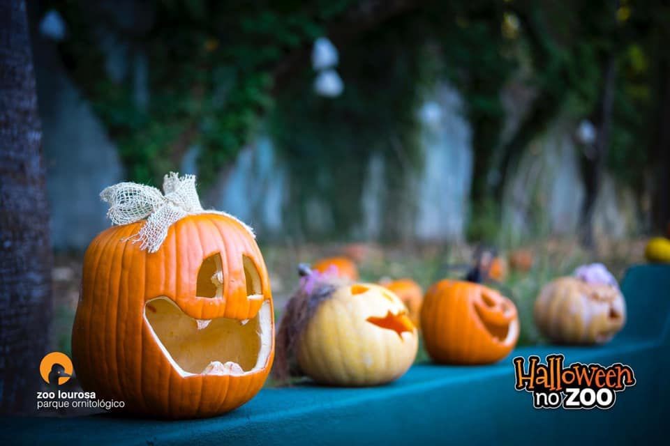 Halloween do Zoo de Lourosa