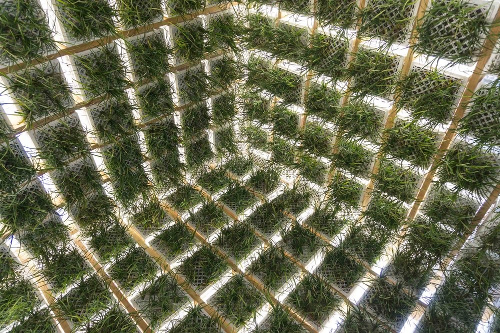 Oferece um ambiente fresco