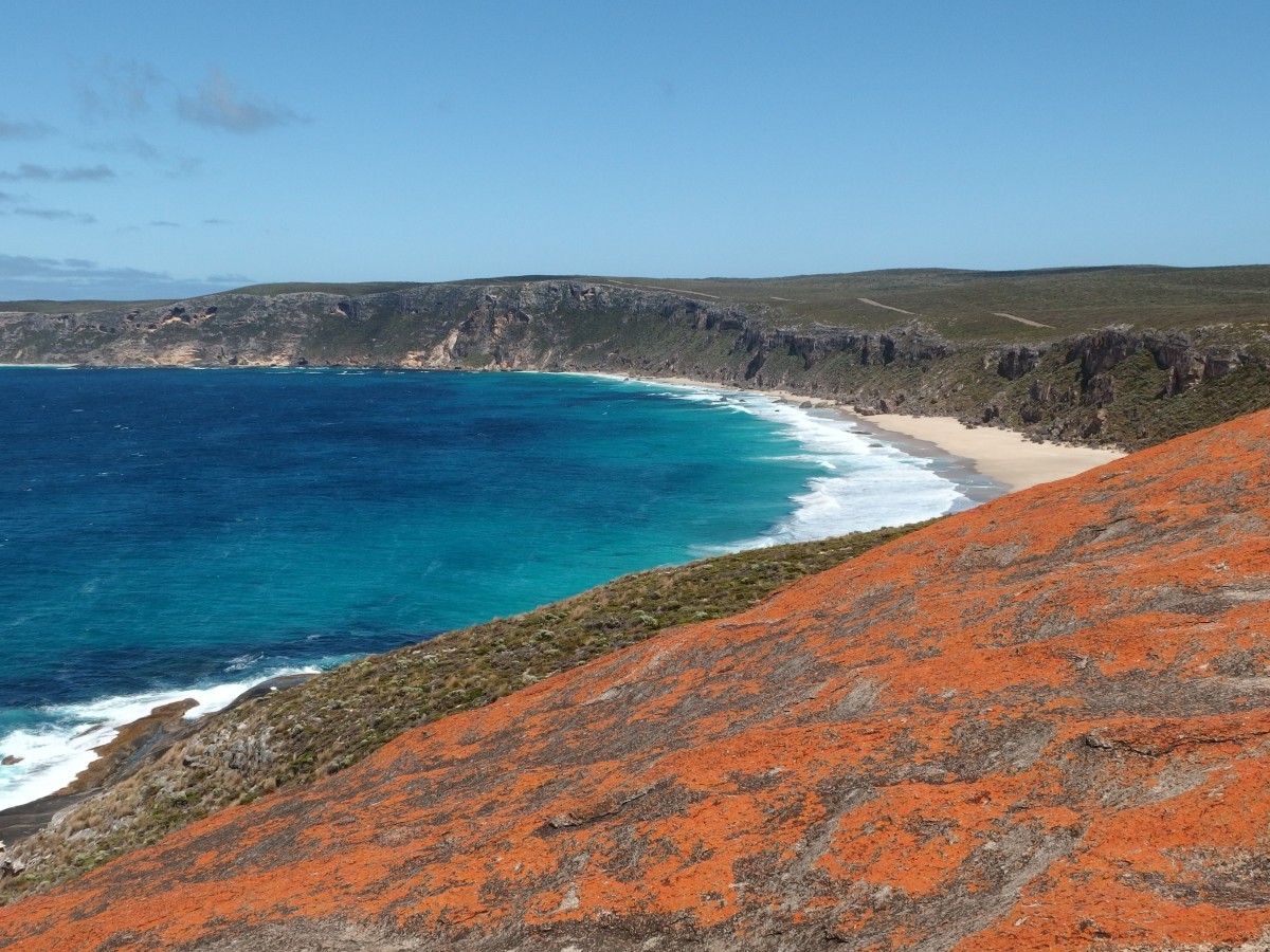 Ilha Kangoroo, Austrália