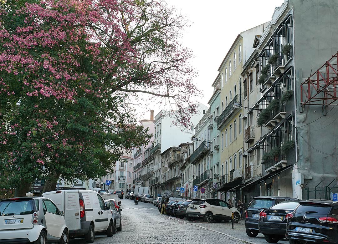 Autoridade Tributária penhorou 48 imóveis por dia