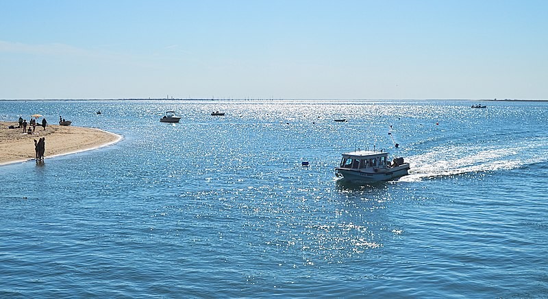 Olhão abre candidaturas ao programa de apoio ao arrendamento habitacional