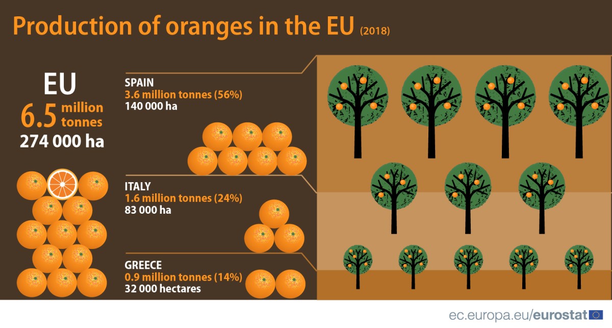 Laranjas há muitas: Portugal é o quarto maior produtor da UE
